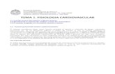 TEMA 1 Fisiologia CV 2012 - Escuela de Medicinaescuela.med.puc.cl/paginas/Cursos/tercero/IntegradoTercero/mec-231... · TEMA 1. FISIOLOGIA CARDIOVASCULAR 1.1 Función general del