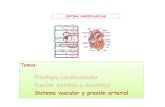 Sistema Cardiovascular III - ugr.esjmmayuso/Archivos colgados Terapia/Sistema... · 1 SISTEMA CARDIOVASCULAR Temas: Fisiología cardiovascular Función sistólica y diastólica Sistema