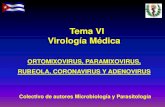 Tema VI Virología Médica - uvsfajardo.sld.cuuvsfajardo.sld.cu/sites/uvsfajardo.sld.cu/files/ortomixoviruspar... · primaria e inflamación de glándulas salivales. ... patognomónico)