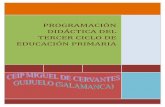 PROGRAMACIÓN DIDÁCTICA DEL TERCER CICLO DE …ceipmigueldecervantesguijuelo.centros.educa.jcyl.es/sitio/upload/... · Ceip Miguel de Cervantes Guijuelo - Salamanca Programación