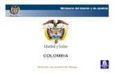 Ms. Luz Amanda Pulido (Colombia) - wmo.int · PDF filePUENTES PEATONALES DE EMERGENCIA Dirección de Gestión del Riesgo Ministerio del Interior y de Justicia. FICHA TÉCNICA Tipo: