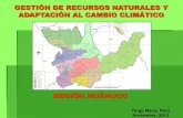 LOS PROBLEMAS DE LA REGIÓN HUÁNUCO - · PDF fileexplotado, caso Ucayali en lo maderable y Lima y Ancash en lo minero. La definición de límites de colindancia a nivel regional se