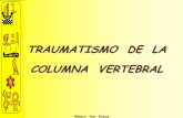 TRAUMATISMO DE LA COLUMNA VERTEBRAL - …reanimovil.com/docgenerales/traumatismo raquimedular.pdf · El traumatismo de columna vertebral o también llamado raquimedular , es toda