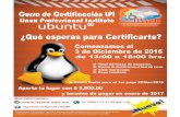 TEMARIO PARA EL CURSO DE CERTIFICACIÓN DE · PDF file2. instalaciÓn de linux ... 7. fundamentos de redes ... lpi (linux professional institute) pago descripciÓn fecha lÍmite
