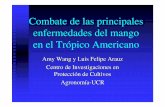 Combate de las principales enfermedades del mango en el ... 12 en pdf... · enfermedades del mango en el Trópico Americano Amy Wang y Luis Felipe Arauz Centro de Investigaciones