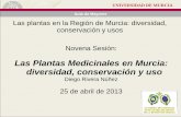 Las Plantas Medicinales en Murcia: diversidad ... · PDF fileUNIVERSIDAD DE MURCIA Aula de Mayores Las plantas en la Región de Murcia: diversidad, conservación y usos . Novena Sesión: