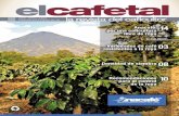 Anacafé: 14 por una caﬁ cultura - Página · PDF fileLa roya del cafeto, al igual que el café, también es originaria de África. Existe un informe de 1861 sobre la presencia en