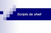 Scripts de shell - Universitat de · PDF filefuente, pero no se compila en un ejecutable – En su lugar, un intérprete lee las intrucciones del fichero fuente y las ejecuta secuecialmente