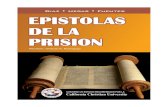 GUIA DE ESTUDIO -  · PDF fileCCU 2017 - EPISTOLAS DE LA PRISION 4 ... epístolas paulinas. 1. LAS CARTAS DE PABLO PARA LA IGLESIA Estas cartas son conocidas como epístolas