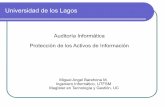 Auditoría Informática Protección de los Activos de Información · PDF fileUniversidad de los Lagos Auditoría Informática Protección de los Activos de Información Miguel Angel