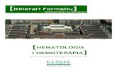 IF HEMATOLOGIA I HEMOTER PIA - · PDF file[2] itinerari formatiu d’hematologia i hemoterÀpia itinerario formativo de hematologia y hemoterapia en el hospital clinic de barcelona