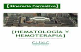 [HEMATOLOGÍA Y HEMOTERAPIA] - · PDF file[4] ITINERARIO FORMATIVO DE HEMATOLOGÍA Y HEMOTERAPIA 1. PRESENTACIÓN La especialidad de Hematología y Hemoterapia constituye aquella parte
