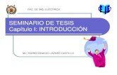 SEMINARIO DE TESIS VF - Isidro Lázaro - · PDF fileRevisión del Formato de Tesis Unidad 3. Presentación del Capítulo 1 de la Tesis Unidad 4. Presentación del Capítulo 2 de la