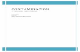 CONTAMINACION - galeon.comgaleon.com/mauriciobermudez/contaminacion.pdf · dañan básicamente el agua de ríos, lagos, mares y ... tabaco y el que en general proviene del sistema