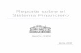 Reporte sobre el Sistema Financiero - banxico.org.mx5286741D-A39E-9745-B393-AF3DF0A5AE85}.pdf · 3.1. Fuentes y usos de recursos financieros en la economía
