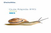 Guía Rápida IFRS 2014 - · PDF fileNIC 2 Existencias 67 NIC 7 Estado de Flujos de Efectivo 68 NIC 8 Políticas Contables, Cambios en las Estimaciones Contables y Errores 70 NIC 10