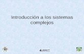 Introducción a los sistemas complejoshumberto-r-alvarez-a.webs.com/Dinamica de sistemas/1.Sistemas... · ... las que muchas veces interactúan. ... –Toma decisiones basadas en
