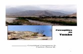 PETROGLIFOS DE YONÁN - cristobalcampana.comcristobalcampana.com/attachments/article/2/Petroglifos_de_Yonan.pdf · El río viene de las alturas de Cajamarca y siempre ... se encuentran