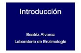 Beatriz Alvarez Laboratorio de Enzimologíaenzimologia.fcien.edu.uy/teoricos enzimologia/Introducción 2010.pdf · Laboratorio de Enzimología. Curso de Enzimología 2010 Coordinación: