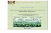 PERFIL DEL PROYECTO - Agencia Peruana de · PDF filecobertura boscosa mediante la instalación de cuatro sistemas de reforestación: Sistema forestal 1050 ... A NIVEL DE PERFIL DEL