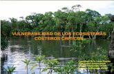VULNERABILIDAD DE LOS ECOSISTEMAS · PDF fileSegún Márquez en el área de Campeche identificó y cuantificó un proceso de ... eléctricas y perdida de sistemas ... recursos existentes