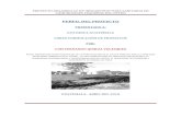 PERFIL DEL PROYECTO - · PDF filePERFIL DEL PROYECTO PRESENTADO A: GTZ DESCA-GUATEMALA ... temas de saneamiento y abastecimiento de agua potable rural en Latinoamérica, obteniendo