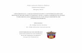 DESARROLLO, CARACTERIZACIÓN Y OPTIMIZACIÓN DE …riubu.ubu.es/bitstream/10259/196/2/Estévez_Bolívar.pdf · 2.10 Escalado de la síntesis de la resina ... apareció la primera