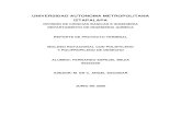 UNIVERSIDAD AUTONOMA METROPOLITANA …148.206.53.84/tesiuami/UAMI13056.pdf · fuentes principales como materia prima para la síntesis de ... Poli olefinas Urea formaldehído ...