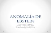 ANOMALÍA DE EBSTEIN - scc.org.coscc.org.co/.../2015/11/ANOMALIA-DE-EBSTEIN-JPPG.pdf · Anomalía de Ebstein (EA) • Enfermedad rara 1-5(200.000 nacidos vivos • 1% de las CC •
