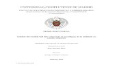 UNIVERSIDAD COMPLUTENSE DE MADRID - …eprints.ucm.es/29750/1/T35985.pdf · Objetivo de la Tesis y contenido básico ... 41 1.6 Algunos ... NIC Normas Internacionales de Contabilidad.