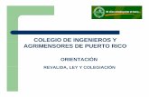 COLEGIO DE INGENIEROS Y AGRIMENSORES DE …prltap.org/eng/wp-content/uploads/2013/03/Revalida_Ley_Colegiacion... · Pñdillifiiódi i idPara añadir la clasificación de ingeniero