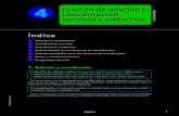coordinación nerviosa y endocrina Contenidos Índice - Inicio · PDF filenerviosa y endocrina 1 Relación y coordinación ... Entre los botones de una neurona y la membrana de las