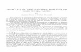 TESORILLO DE ANTONINIANOS HALLADO EN GAB1I · PDF filetesorillo de antoninianos hallado en gabii (roma, lacio) 189 decio. ceca de roma. segunda emisión (250, «guerra gótica»).