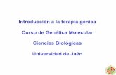 Introducción a la terapia génica Curso de Genética ... · PDF fileAvances en la biología molecular y los sistemas de transferencia génica acelerarán el uso de la terapia génica.