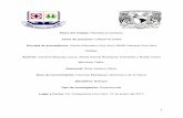 Título del trabajo: Plantitas en pañales. CIN2017A10065 ...vinculacion.dgire.unam.mx/Memoria-Congreso-2017/trabajos-ciencias... · Química del Poliacrilato de Sodio y su capacidad