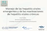 Manejo’de’las’hepatitis’virales’ emergentes’y’delas ...aeeh.es/wp-content/uploads/2016/12/AEEH-15.02.2017-Turnes.pdf · Manejo’de’las’hepatitis’virales’ emergentes’y’delas’reactivaciones’