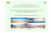 ESTUDIO HIDROLOGICO - ana.gob.pe · PDF filecuencas de los ríos Cañete, Chancay-Huaral, ... Diagnóstico de la hidrología en general de la cuenca del río Pisco. Estudio de la precipitación