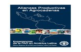 Alianzas Productivas en Agrocadenas - smye.infosmye.info/gia-mexico/wp-content/uploads/2010/07/11_APAEFAL.pdf · - ii - Alianzas Productivas en Agrocadenas Experiencias de la FAO