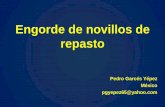Engorde de novillos de repasto - Cámara Nicaragüense de ...canicarne.com/wp-content/uploads/2015/08/Engorde-de-Novillos-de... · control de plagas, conservación. ... • Antimetabolitos.
