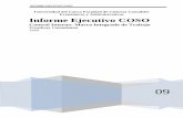 Informe Ejecutivo COSO - preparatorioauditoria · PDF filecapitulo 5 - informacion y comunicacion ..... ... 57 capitulo 6 - monitoreo
