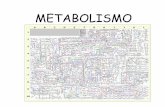 METABOLISMO - sgpwe.izt.uam.mxsgpwe.izt.uam.mx/files/users/uami/acym/Reacciones_metabolicas... · Metabolismo microbiano Metabolismo: Es el total de reacciones químicas (catabolismo
