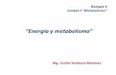 “Energía y metabolismo” - webzoom.freewebs.comwebzoom.freewebs.com/biologiaiv/bioVunidad2/Energia y metabolismo... · Anabolismo Bioluminiscencia . Leyes de la termodinámica