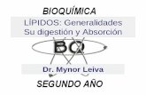 LÍPIDOS: Generalidades Su digestión y Absorción · PDF fileLÍPIDOS: •Los lípidos se definen en forma operativa como biomoléculas que son solubles en solventes orgánicos, como