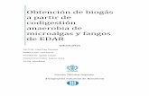 Obtención de biogás a partir de codigestión anaerobia de · PDF fileObtención de biogás a partir de codigestión anaerobia de microalgas y fangos de EDAR pág. 1 Resumen Los sistemas