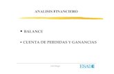 BALANCE CUENTA DE PERDIDAS Y GANANCIAS · PDF fileANALISIS FINANCIERO. Jordi Fabregat INDICE DE CONTENIDOS