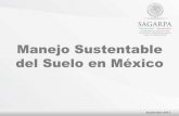 Manejo Sustentable del Suelo en México - fao. · PDF fileCapacidad de carga excedida Pastoreo Labores Agrícolas Riego Deterioro del ... Apoyar acciones de conservación de suelos