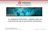 La Industria Petrolera, soporte para el crecimiento de la ... · PDF fileIng. Carlos Morales Gil Director General, PEMEX Exploración y Producción México D.F. Noviembre, 2013 La