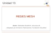 REDES MESH -  · PDF fileOctubre 2007 11 Elementos de enrutamiento MESH ... Protocolos de enrutamiento y mediciones. ... Optimized Link State Routing Protocol descrito en el