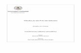 Trabajo de Fin de Grado - uvadoc.uva.esuvadoc.uva.es/bitstream/10324/19021/1/TFG-G 1780.pdf · processes of electromagnetic radiation in the terrestrial ... Ejercicios prácticos