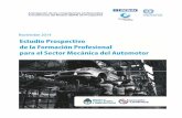 Anticipación de las competencias profesionales ... · PDF fileEn este contexto, el Servicio Nacional de Aprendizaje Industrial de Brasil (SENAI) ... FIAT AUTO ARGENTINA S.A. PSA PEUGEOT‐CITROEN